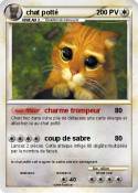 chat potté
