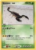 Scorpion noir