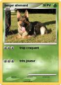 berger allemand berger allemand