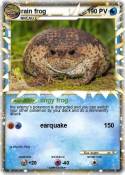 rain frog