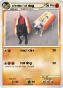 chiens hot dog