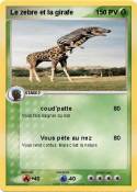 Le zebre et la
