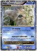 super chaton