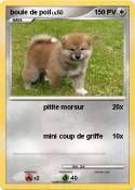 boule de poil