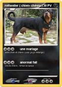 rottweiler (