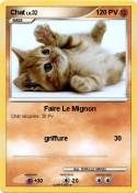 Chat