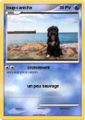 loup-caniche