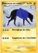 beauceron en