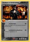 brothers of destruction brothers of