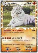 Tigre blanc