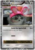 lapinchat