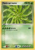 Plante qui