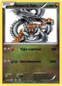 Dragon & Tigre