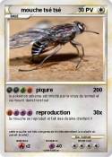 mouche tsé