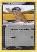 skater cat