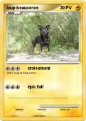 loup-beauceron