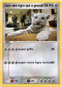 mon ami tigre