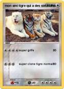 mon ami tigre