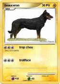 beauceron