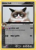 mister Katt