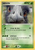 autruche