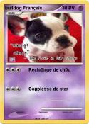 bulldog Français bulldog