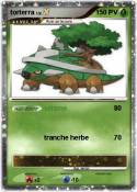 torterra
