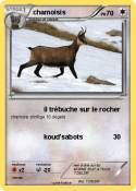 chamoisis