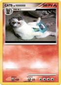 CATS