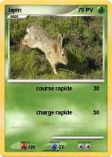 lapin