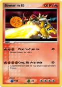Bowser nv 85