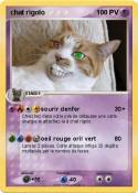 chat rigolo