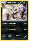 famille chat