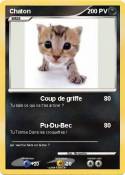 Chaton
