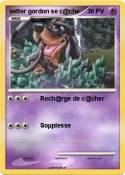 setter gordon se c@che setter gordon
