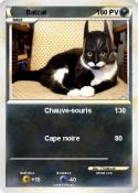 Batcat