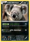 koala