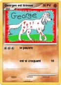 Georges est