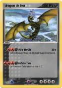 dragon de feu
