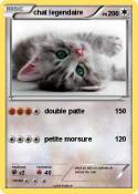 chat legendaire