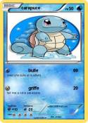 carapuce