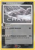 chat
