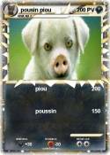 pousin piou pousin piou
