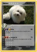 danou