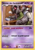bouvier des