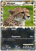 Mittjaguar