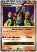 tortus ninjas