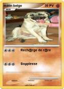 mâtin belge
