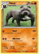 Pitbull