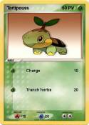 Tortipouss